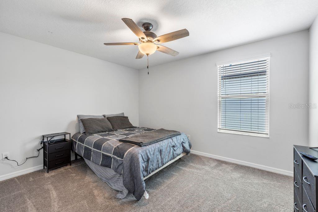 3703 Globe Thistle Dr Property Photo 23
