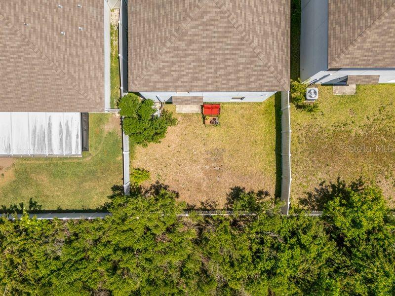 3703 Globe Thistle Dr Property Photo 29