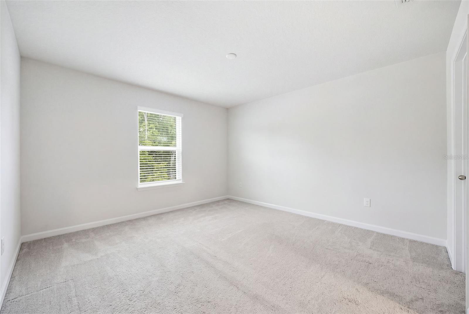 2130 Laceflower Dr Property Photo 21