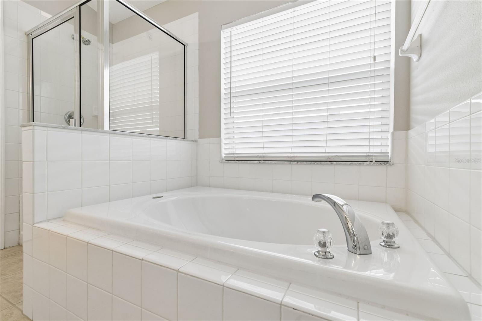 13226 Evening Sunset Ln Property Photo 28