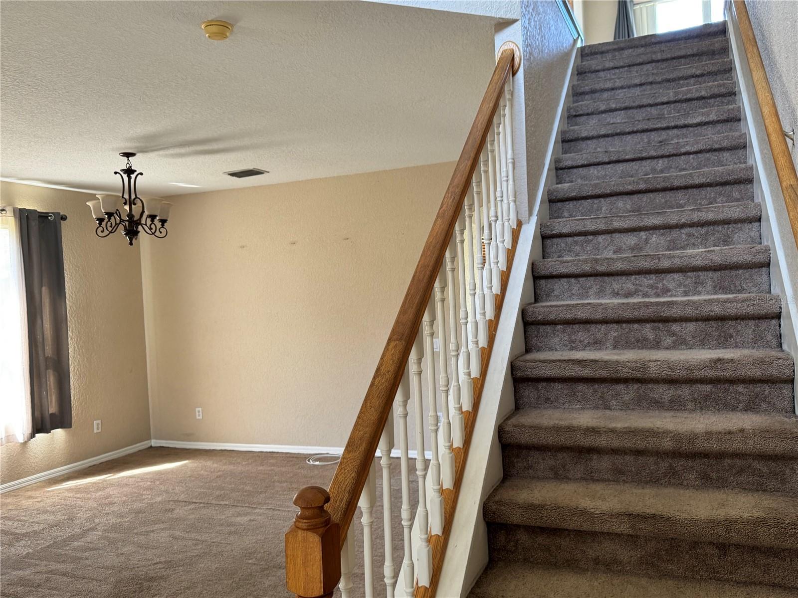 9023 Pinebreeze Dr Property Photo 9