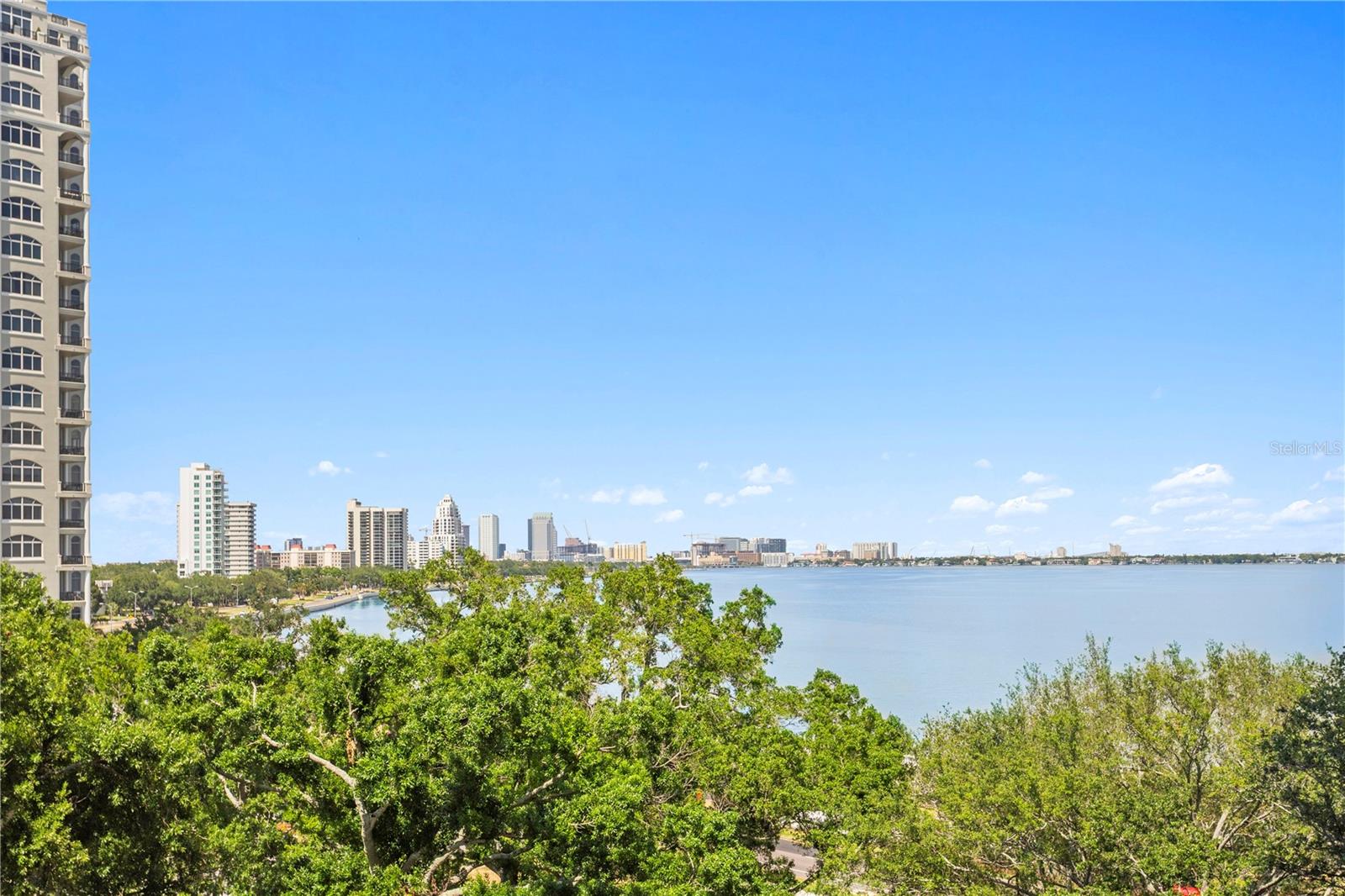 3301 Bayshore Blvd #702e Property Photo 1