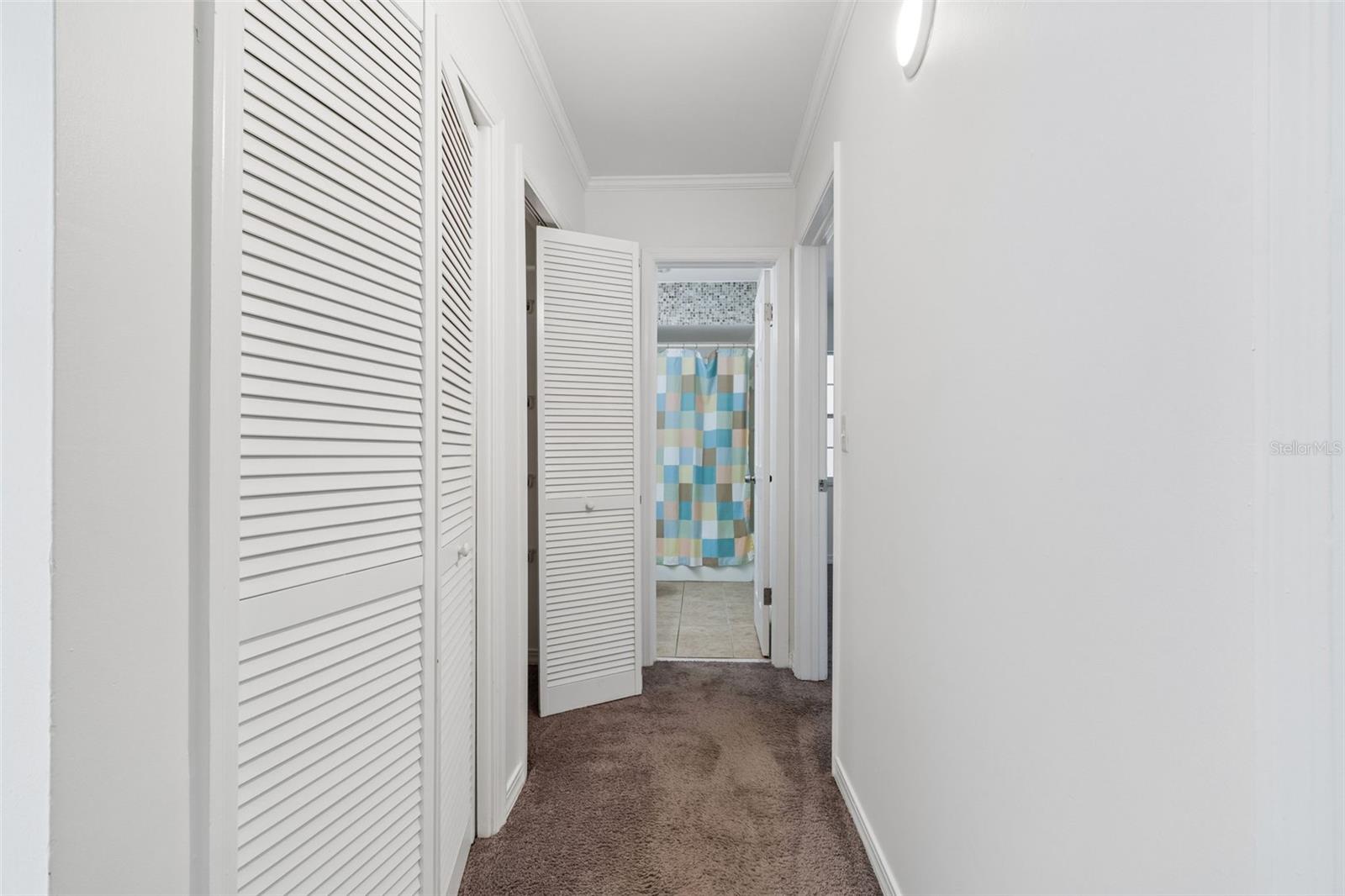 10314 Carrollwood Ct #56 Property Photo 21