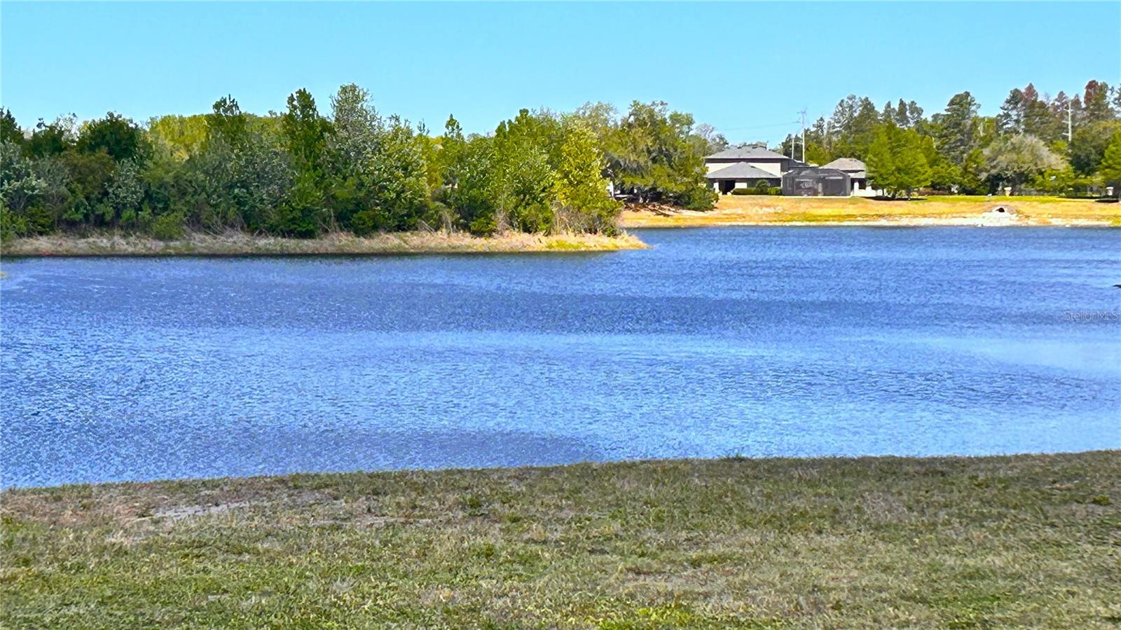 13814 Bee Tree Ct Property Photo 66
