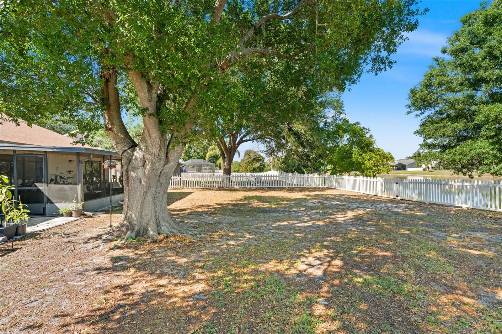 12908 Longcrest Dr Property Photo 28