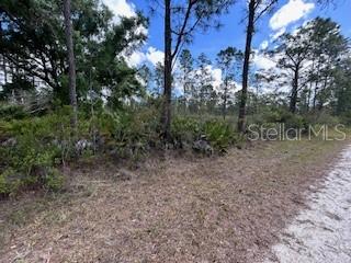 622 LAGUNA DR Property Photo 1