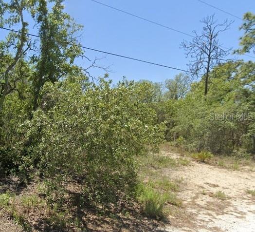 5276 W Winter Sun Ln Property Photo 3