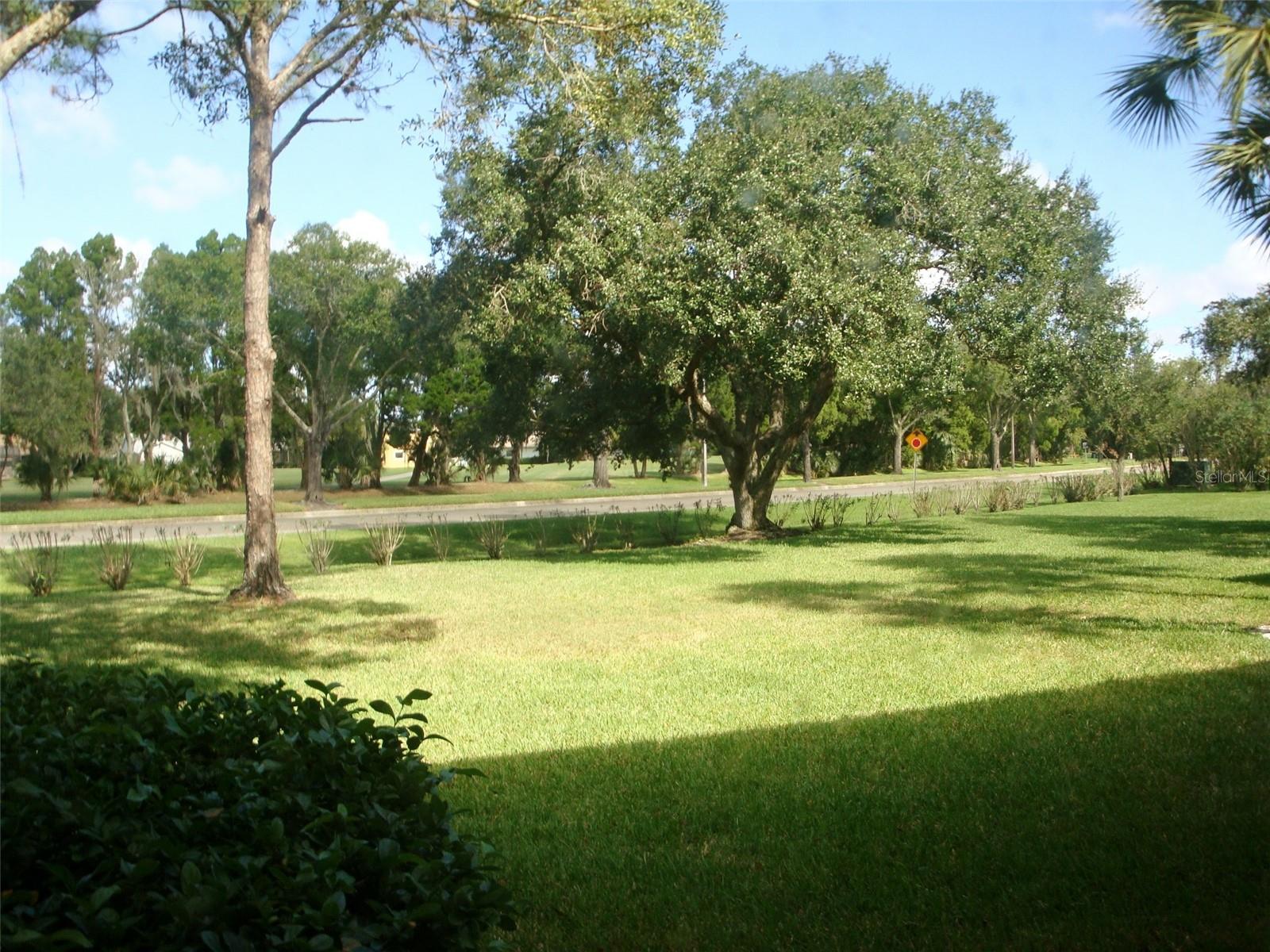 111 E Cypress Ct #111 Property Photo 19