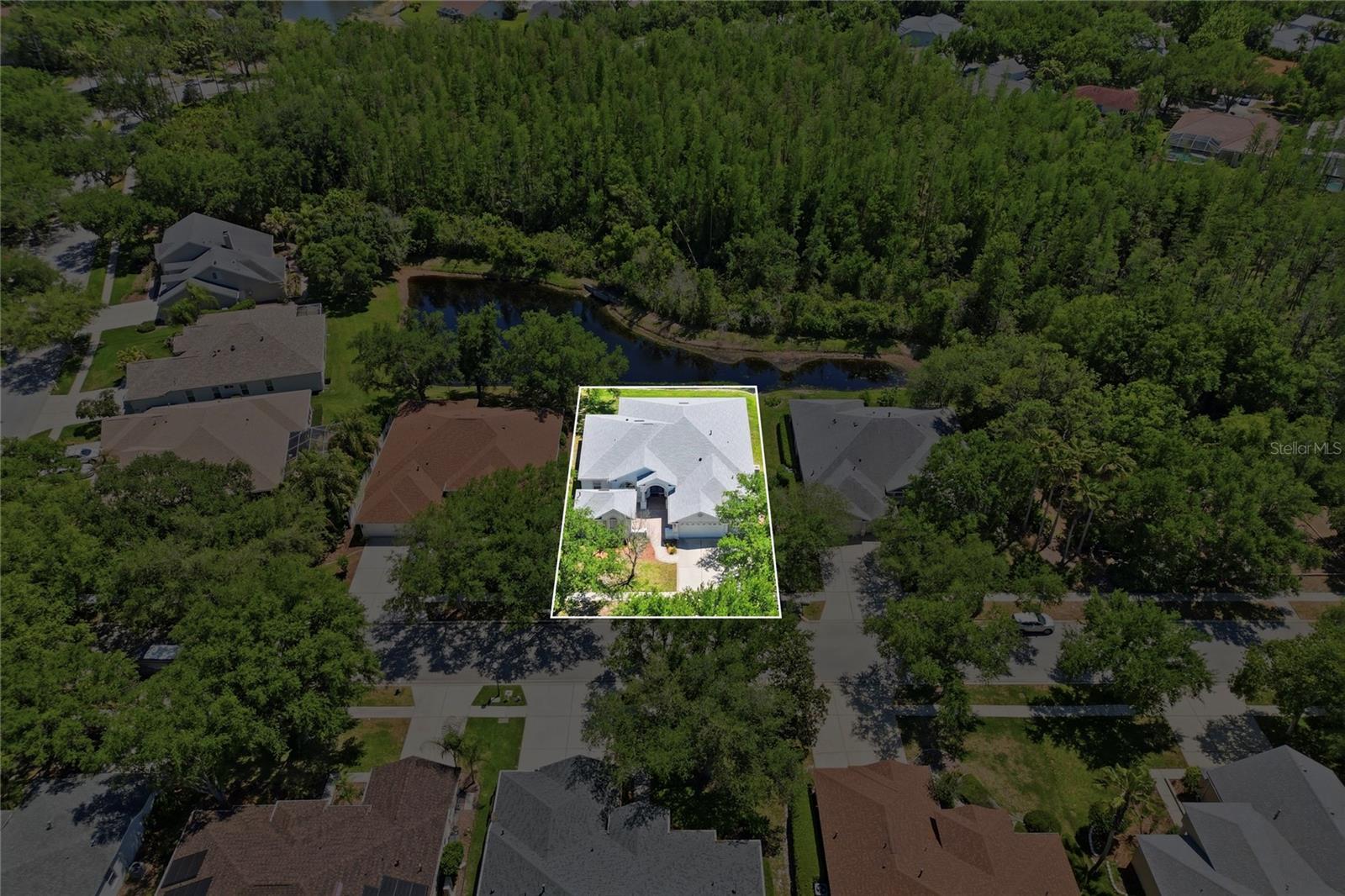 10206 Shadow Branch Dr Property Photo 4