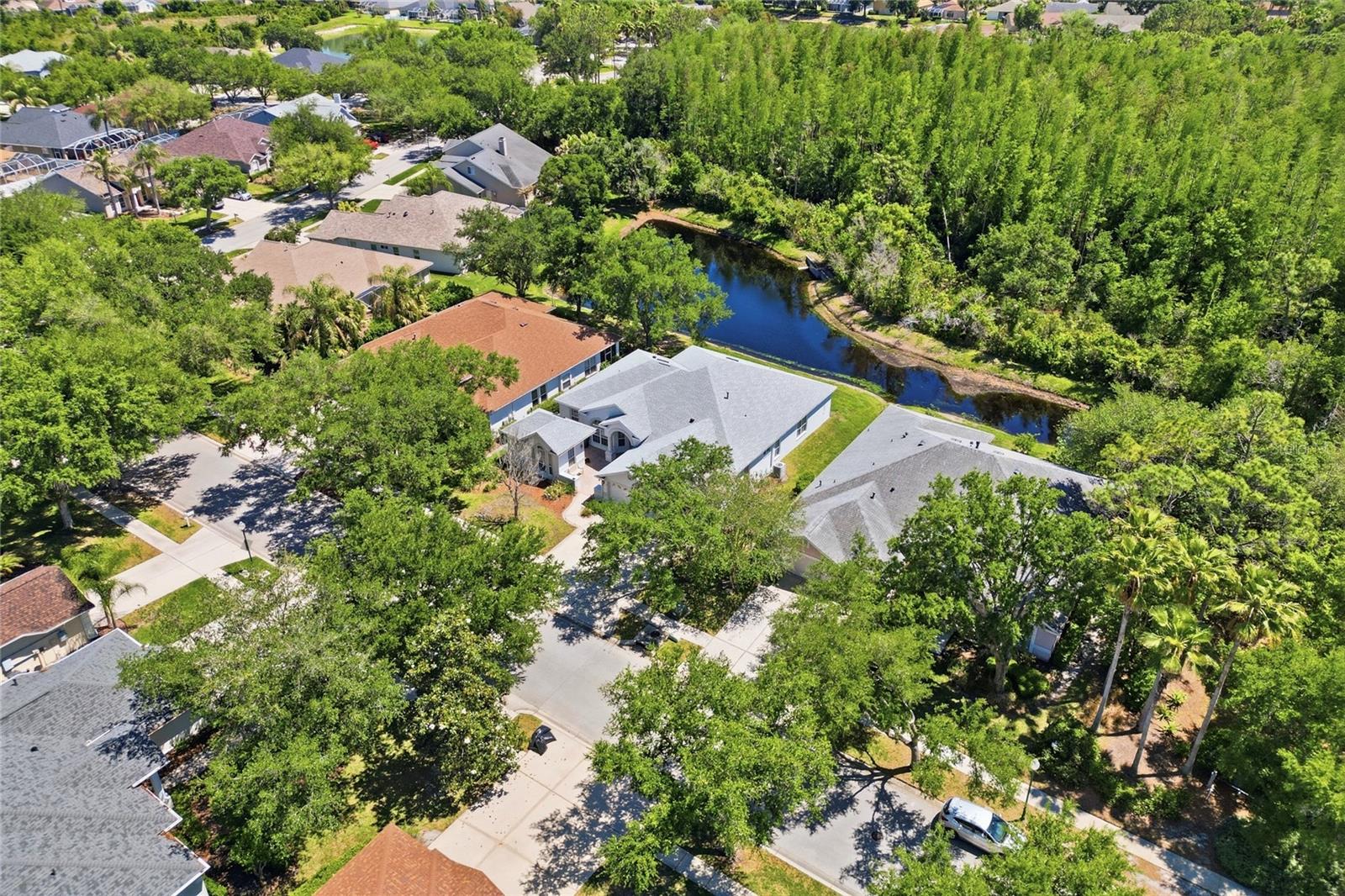 10206 Shadow Branch Dr Property Photo 6