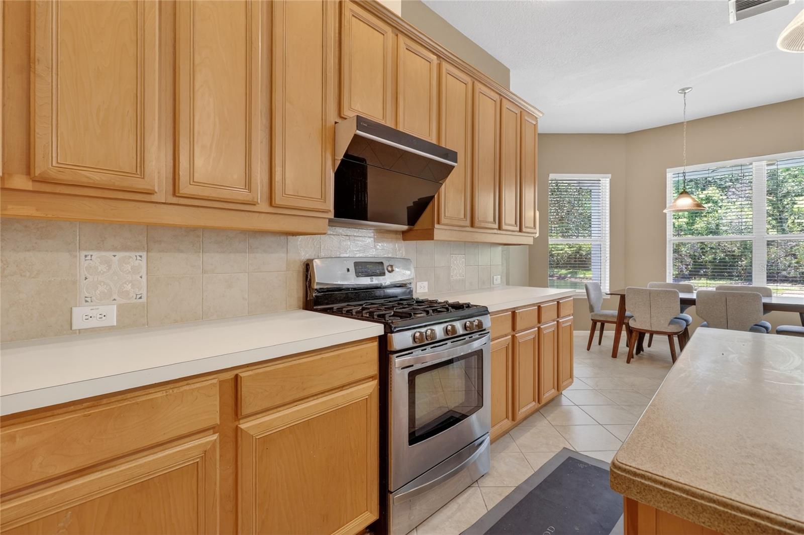 10206 Shadow Branch Dr Property Photo 33