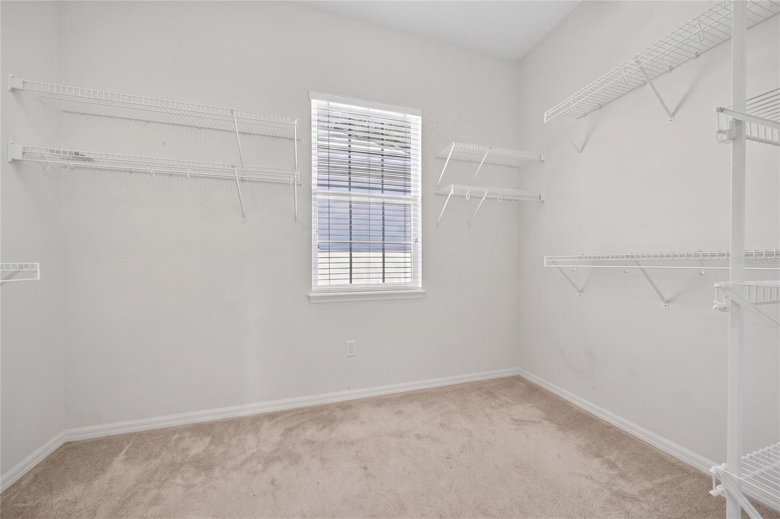 10206 Shadow Branch Dr Property Photo 48