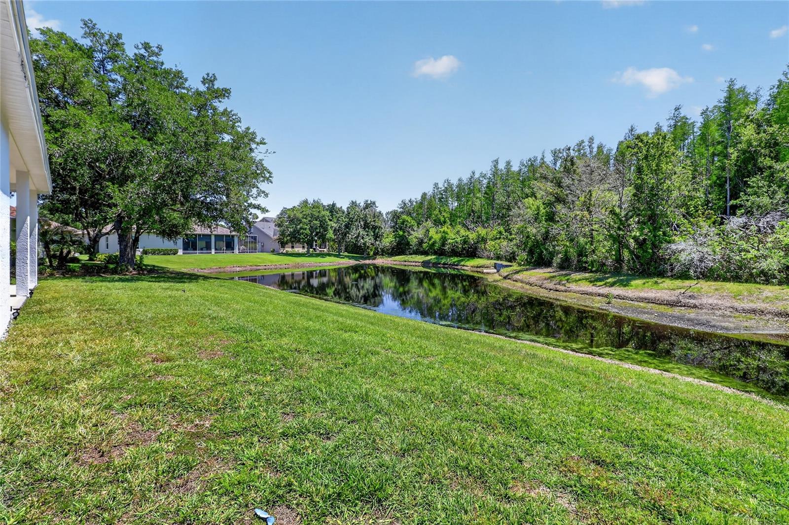 10206 Shadow Branch Dr Property Photo 83