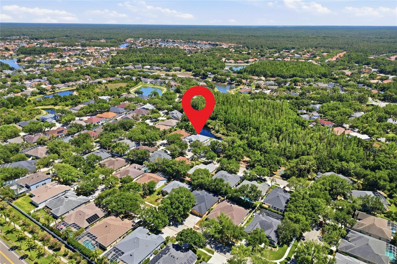 10206 Shadow Branch Dr Property Photo 87