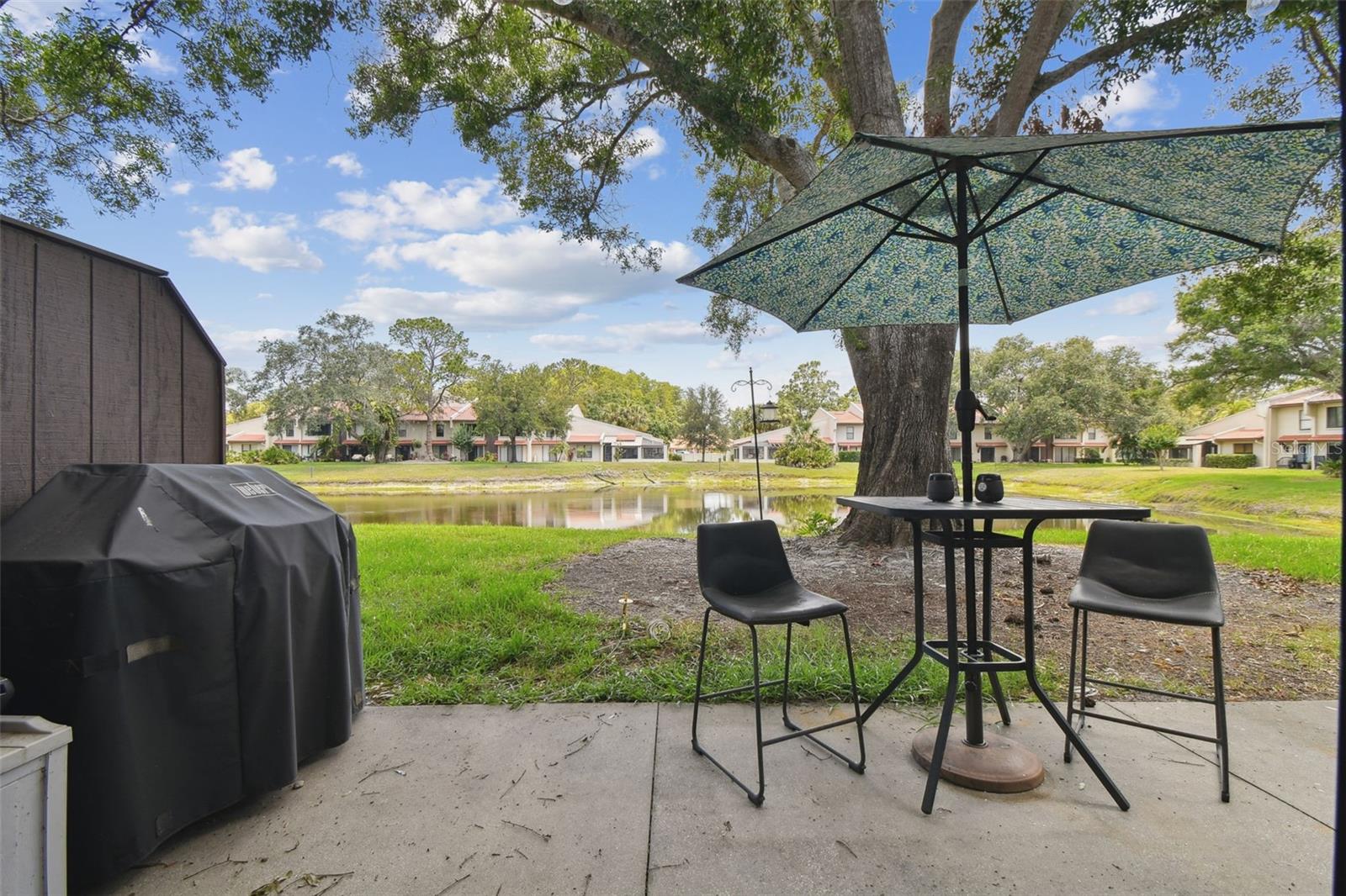 3505 Tarpon Woods Blvd #p404 Property Photo 41