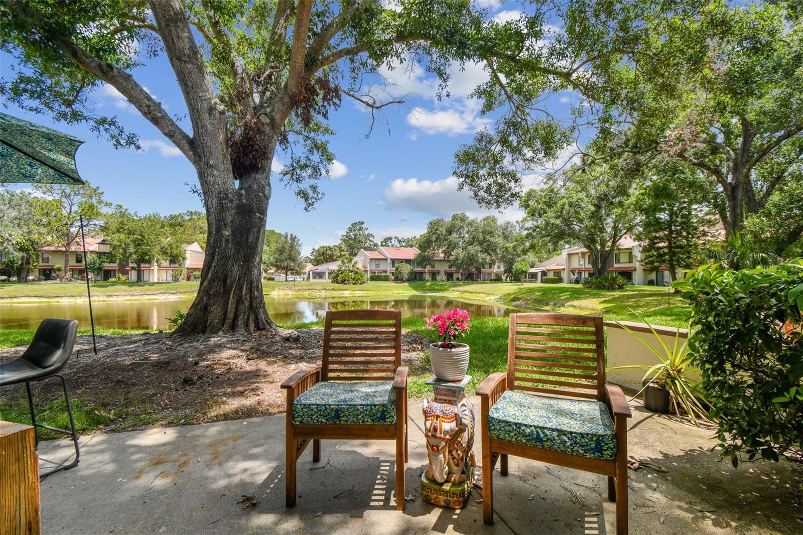 3505 Tarpon Woods Blvd #p404 Property Photo 45