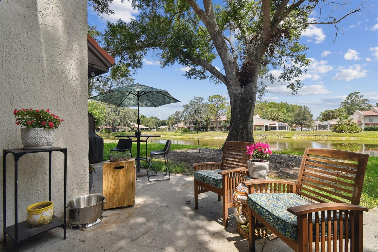 3505 Tarpon Woods Blvd #p404 Property Photo 46