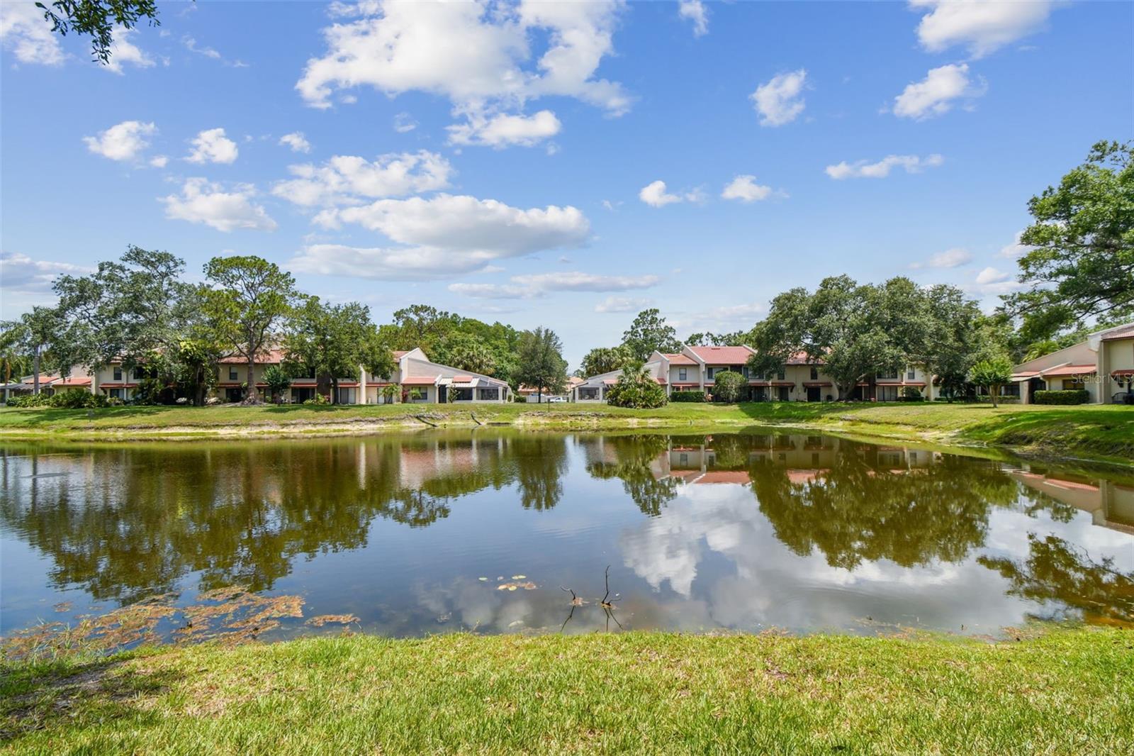3505 Tarpon Woods Blvd #p404 Property Photo 47