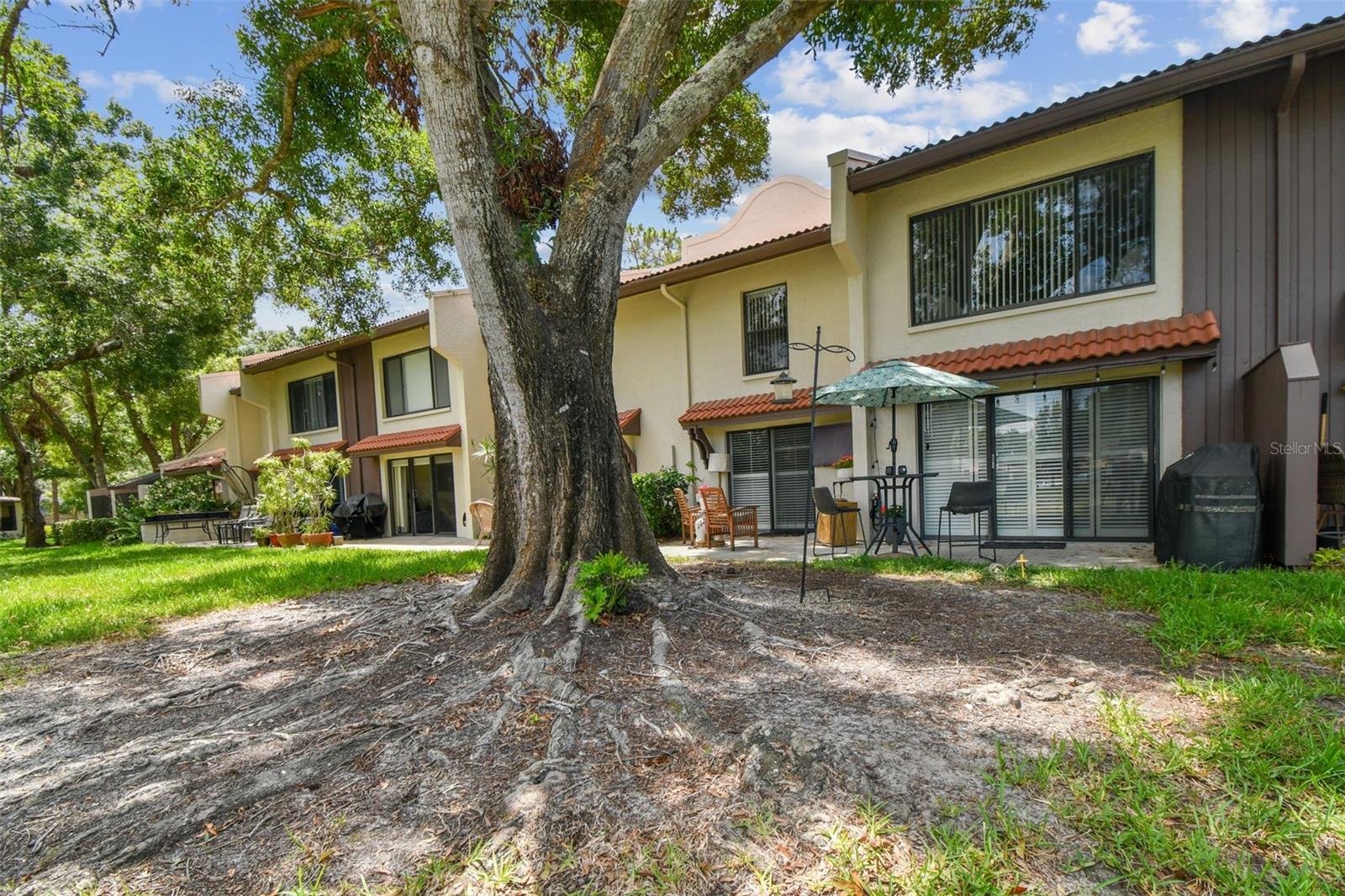 3505 Tarpon Woods Blvd #p404 Property Photo 48