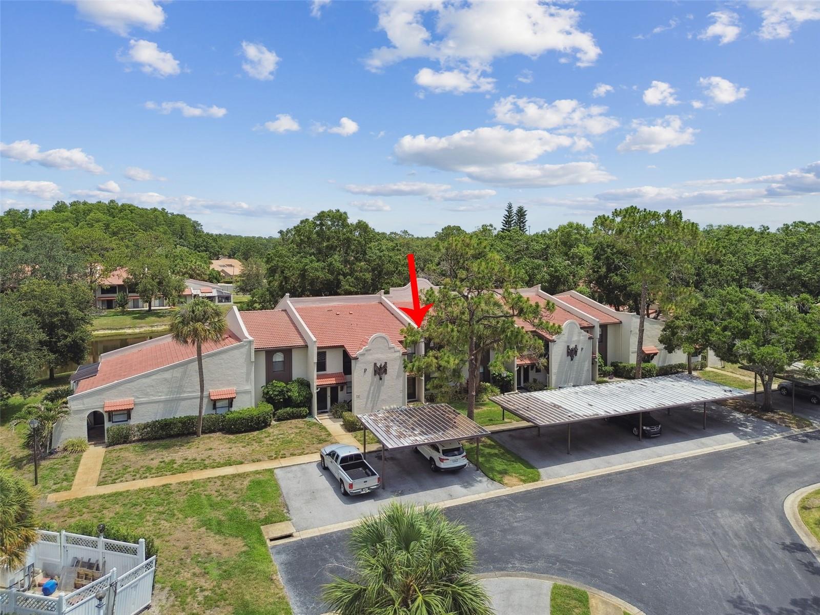 3505 Tarpon Woods Blvd #p404 Property Photo 49
