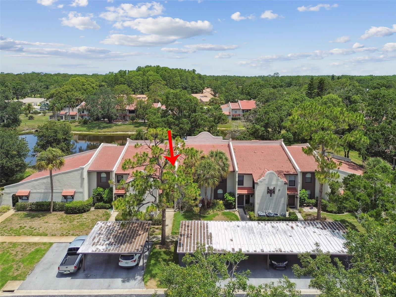 3505 Tarpon Woods Blvd #p404 Property Photo 50