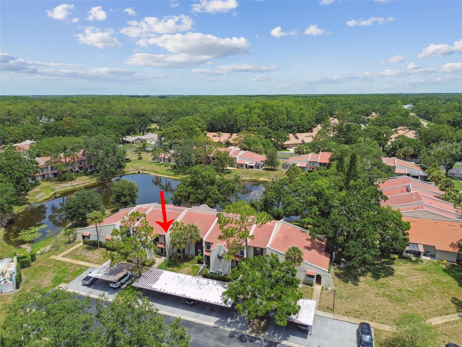 3505 Tarpon Woods Blvd #p404 Property Photo 51