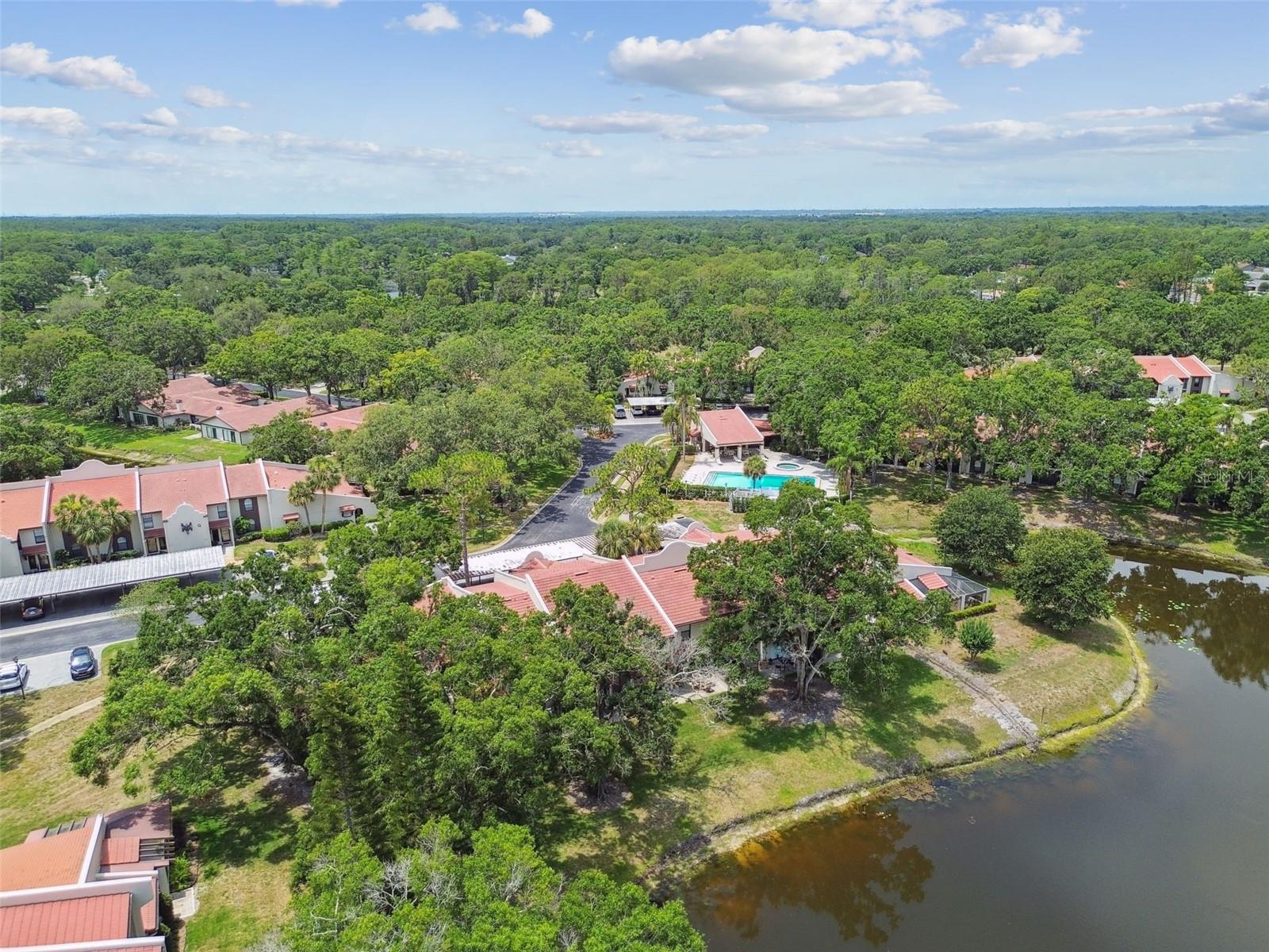 3505 Tarpon Woods Blvd #p404 Property Photo 52