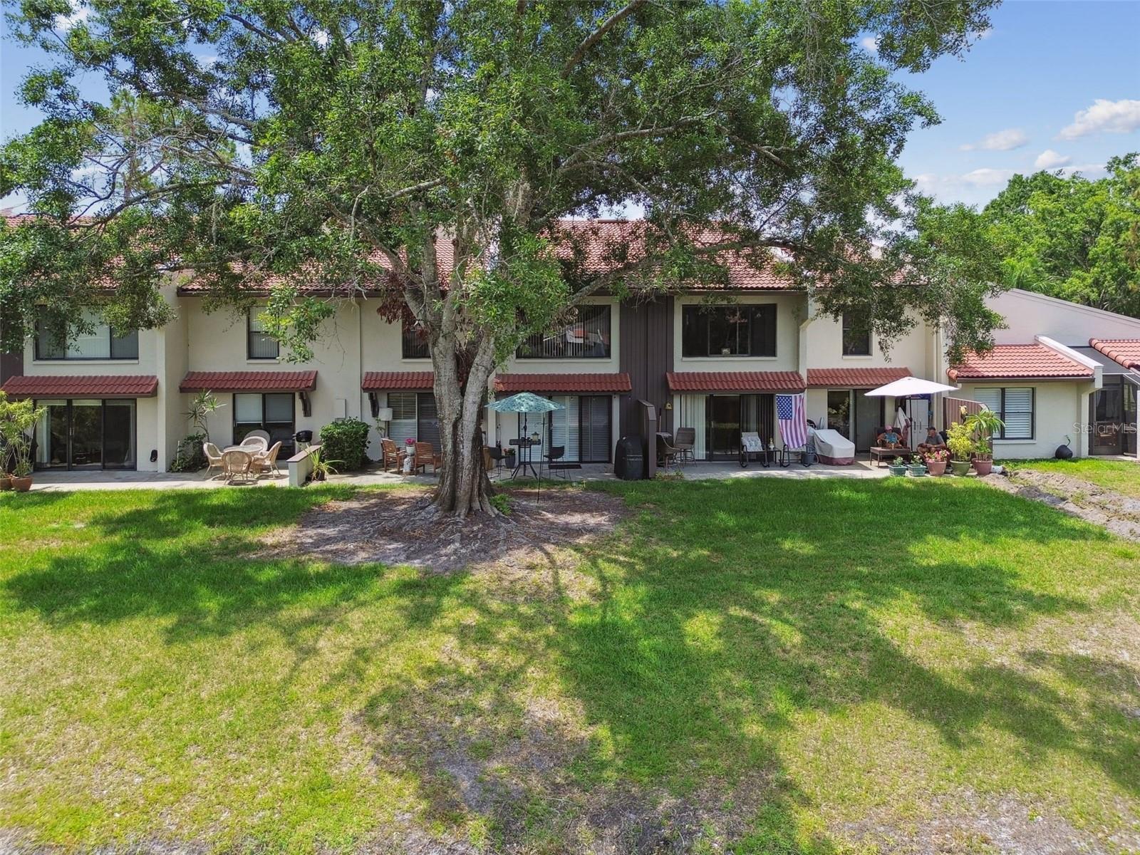 3505 Tarpon Woods Blvd #p404 Property Photo 53