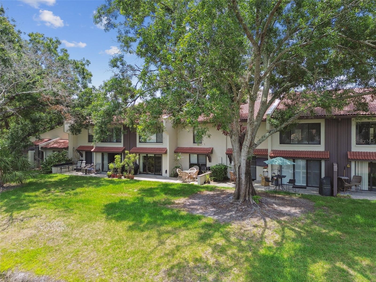 3505 Tarpon Woods Blvd #p404 Property Photo 54