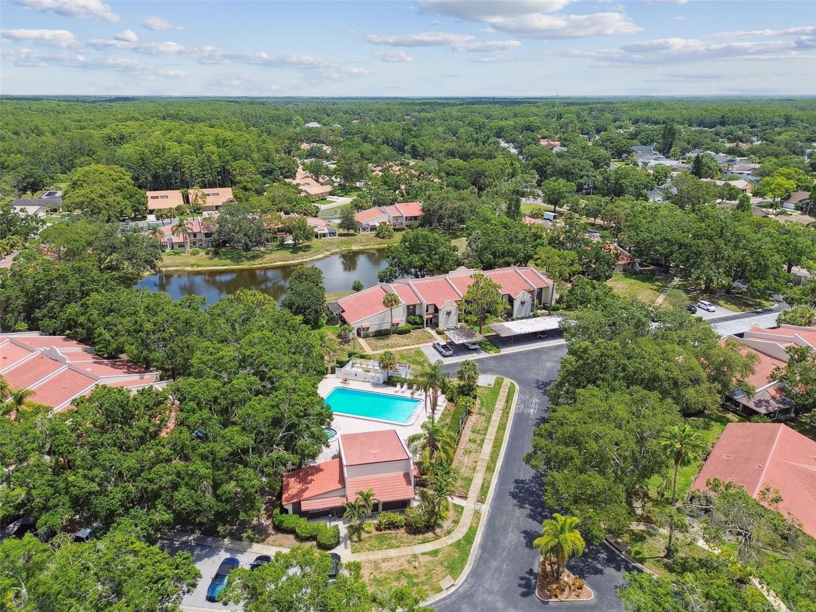 3505 Tarpon Woods Blvd #p404 Property Photo 55