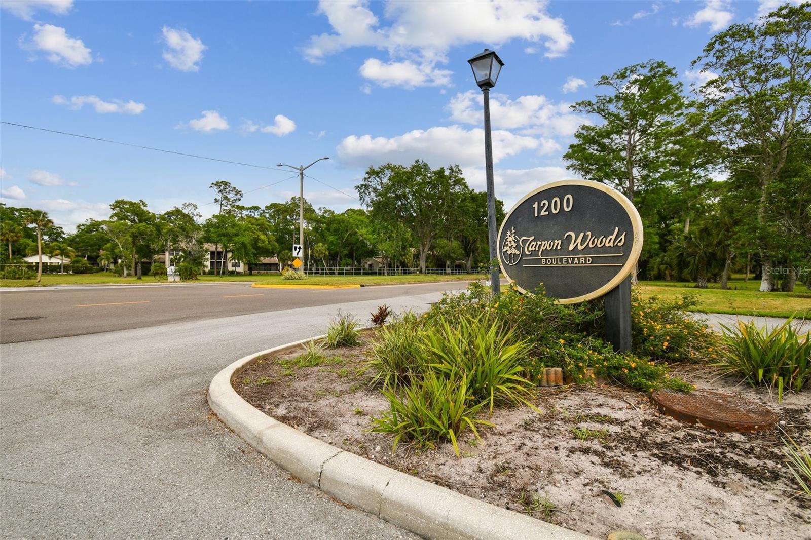 3505 Tarpon Woods Blvd #p404 Property Photo 57