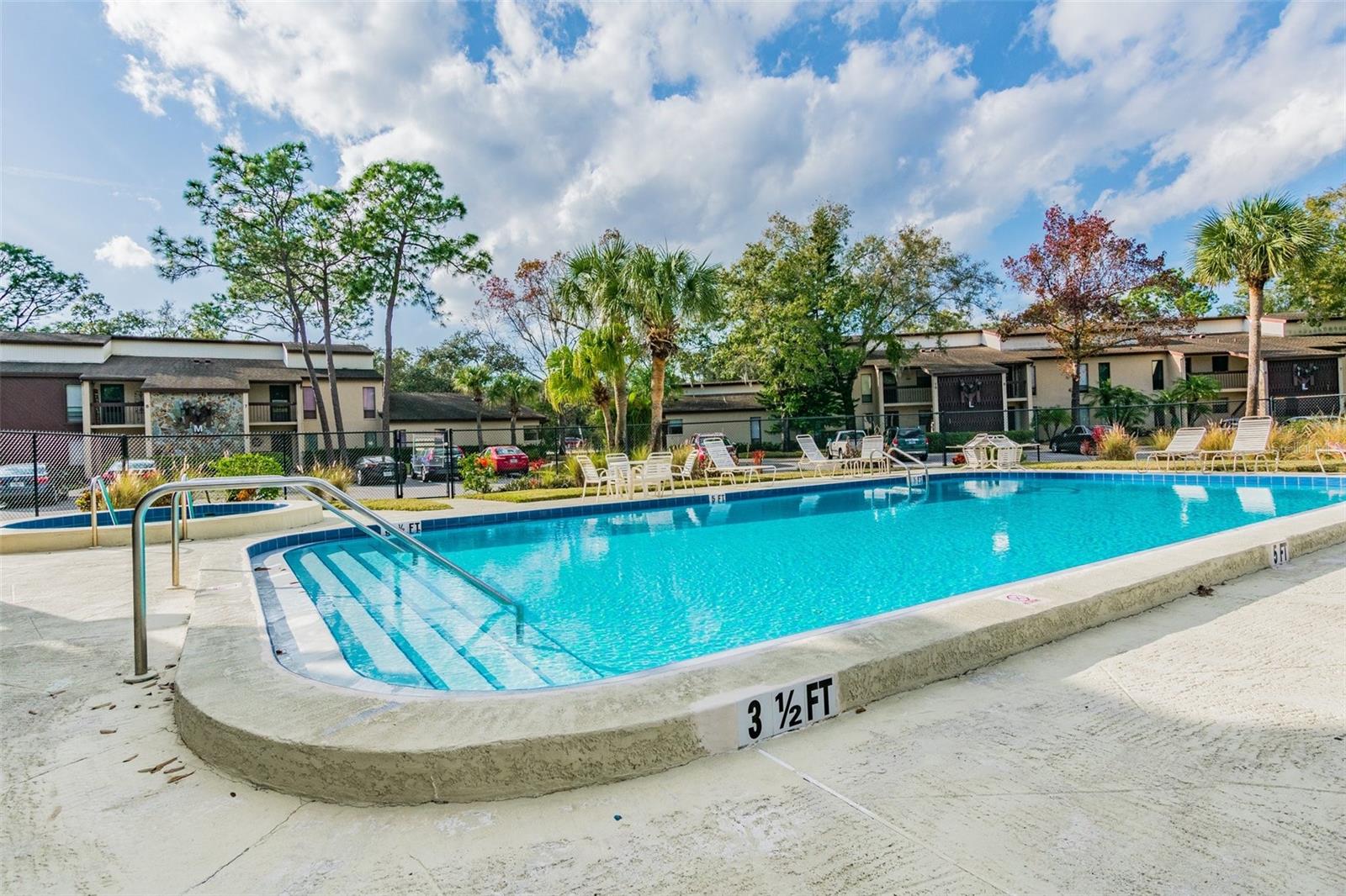 3505 Tarpon Woods Blvd #p404 Property Photo 62