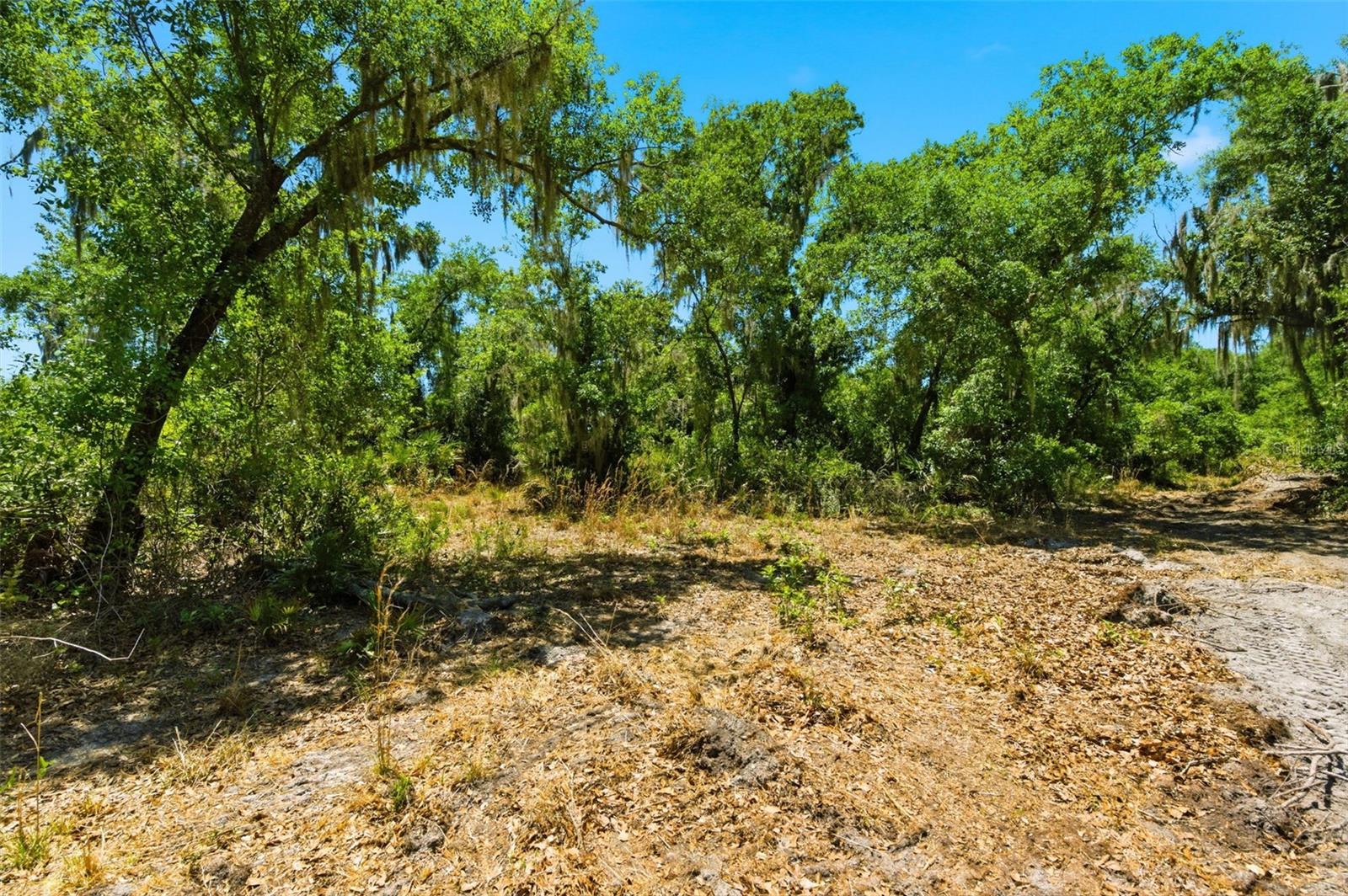 19084 Red Bird Ln #lot 4 Property Photo 9