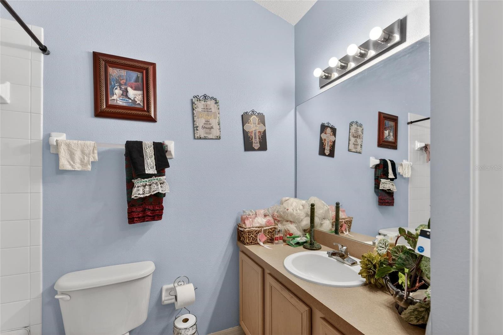 6557 Osprey Lake Cir Property Photo 34