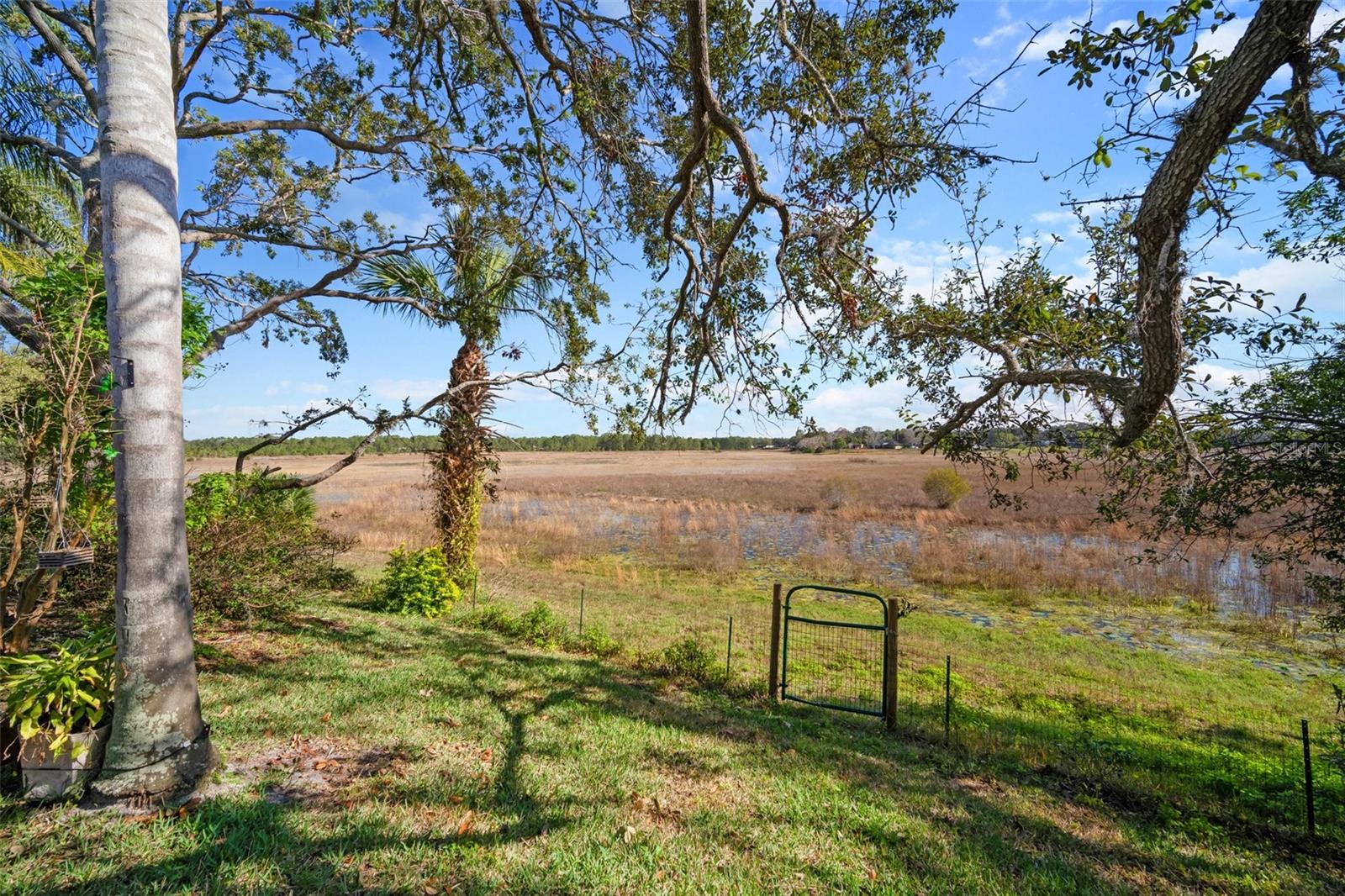 1472 Ivydale Rd Property Photo 30