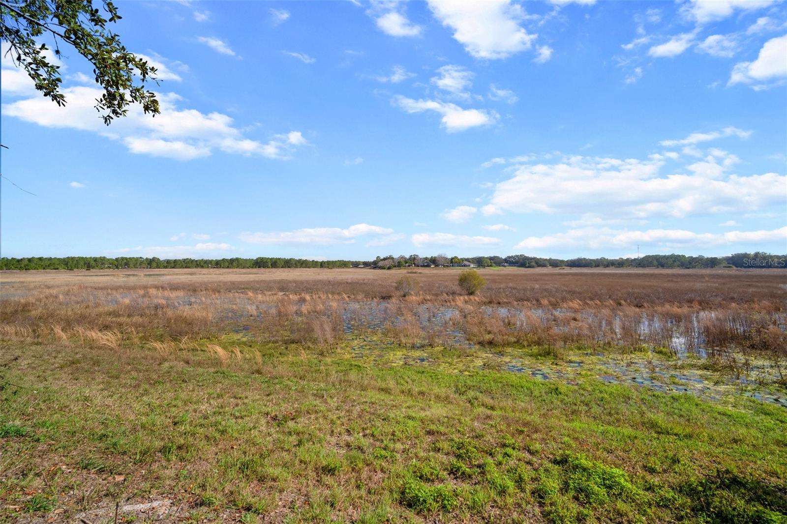 1472 Ivydale Rd Property Photo 36