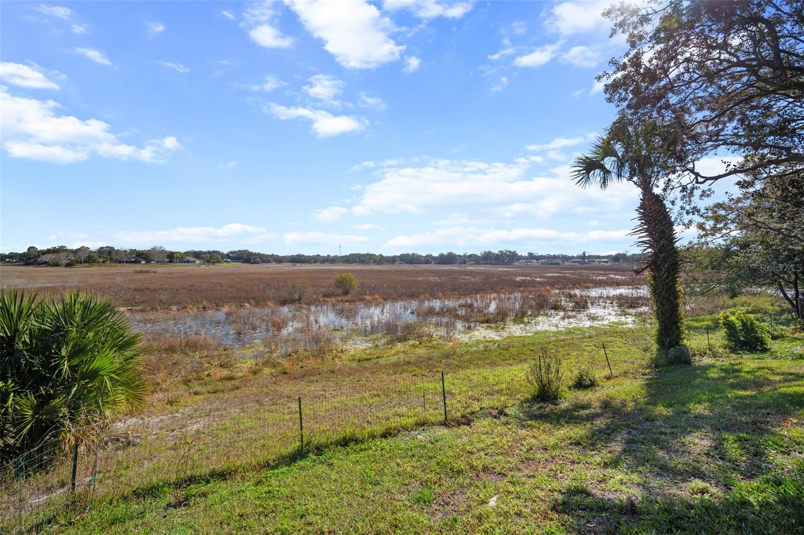 1472 Ivydale Rd Property Photo 38