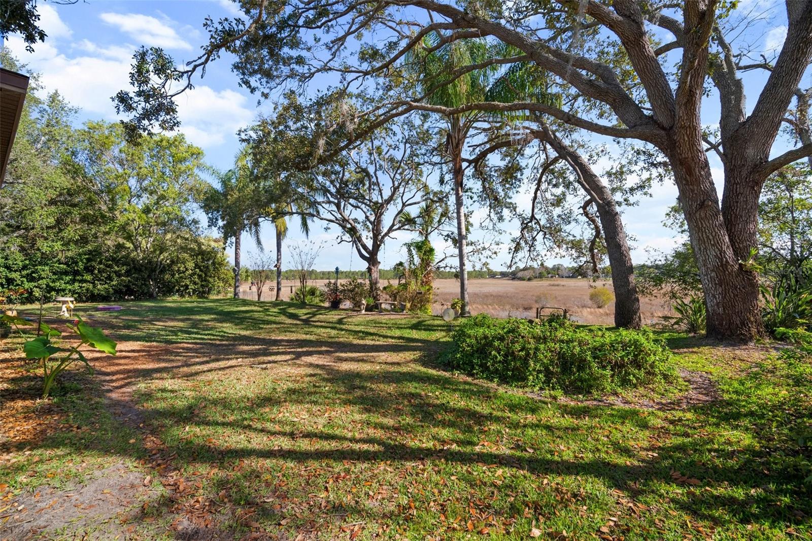1472 Ivydale Rd Property Photo 39