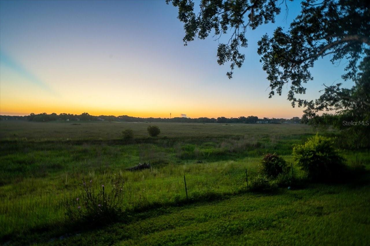 1472 Ivydale Rd Property Photo 43