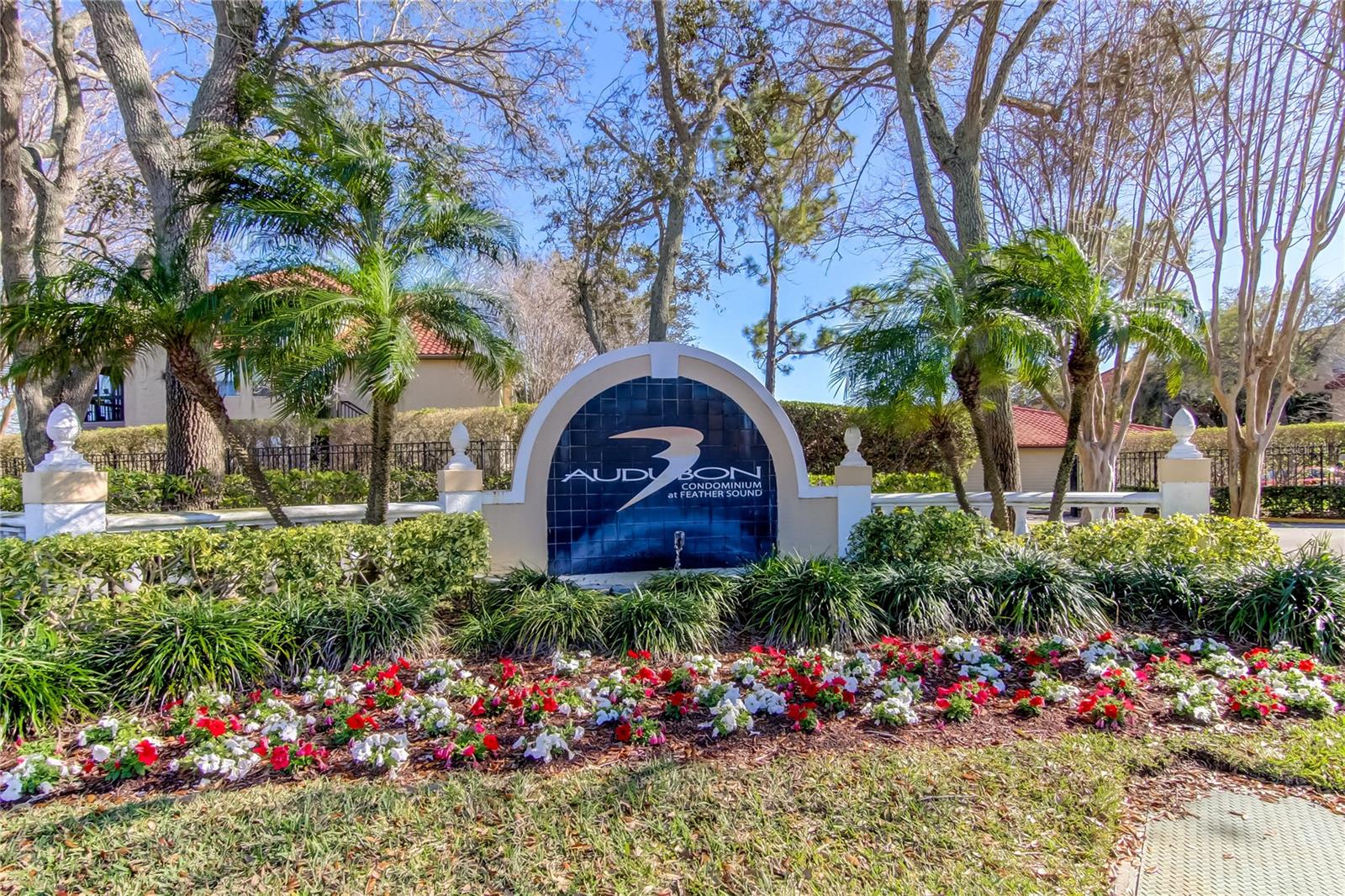2400 Feather Sound Dr #1228 Property Photo 45