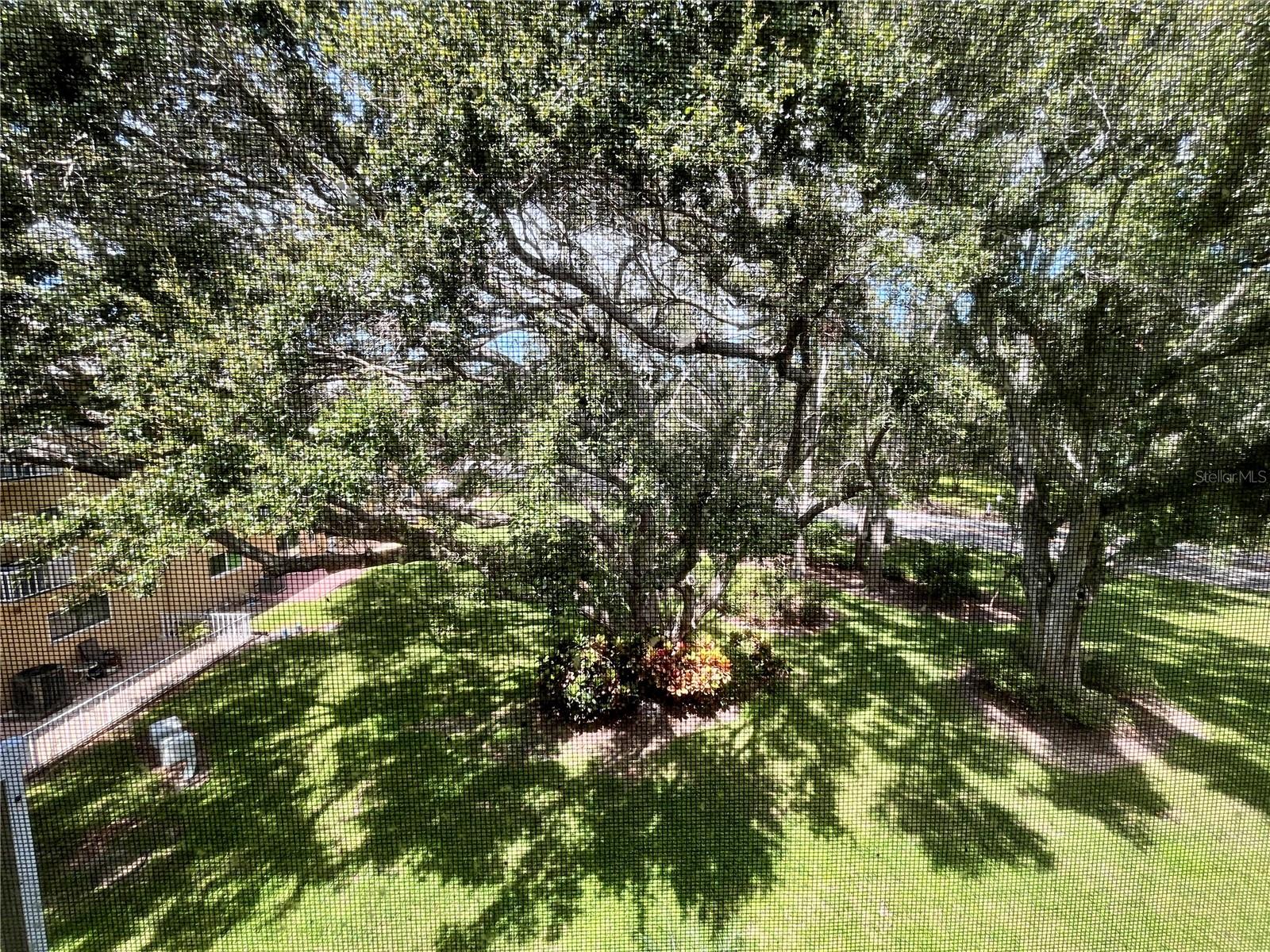 2220 Spanish Dr #54 Property Photo 19