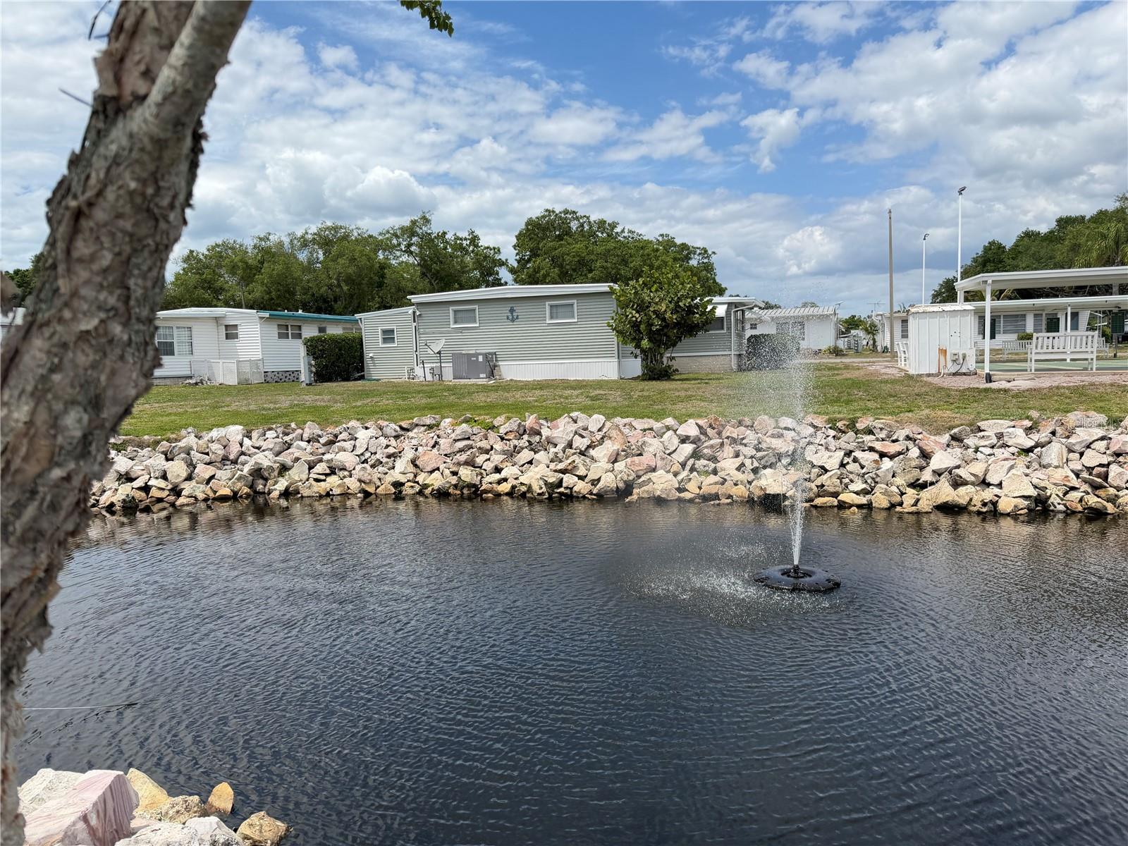 2331 Belleair Rd #529 Property Photo 50