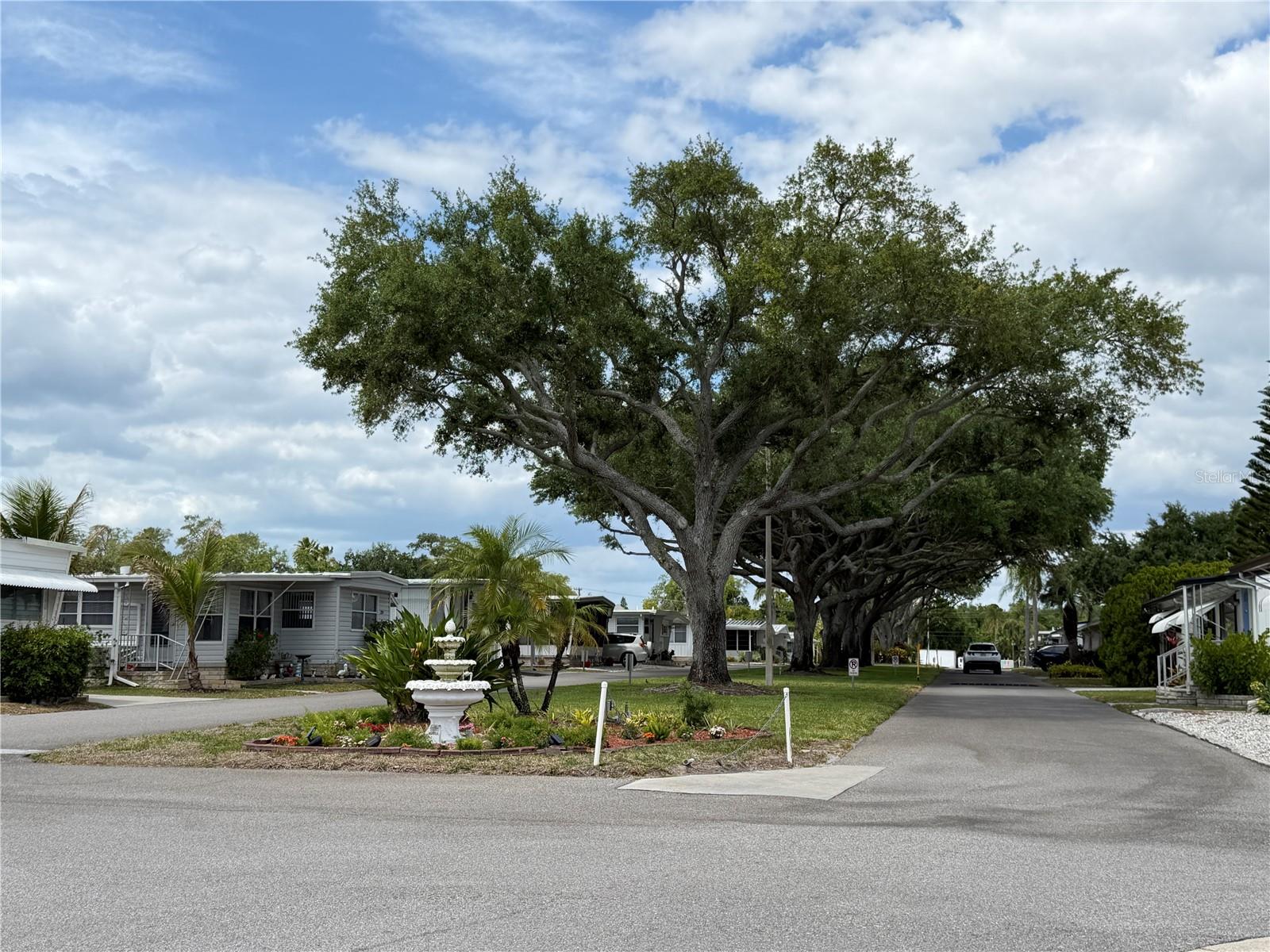 2331 Belleair Rd #529 Property Photo 52