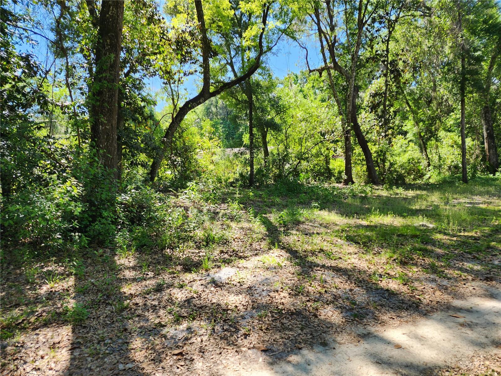 4150 S Spaniel Trl Property Photo 22