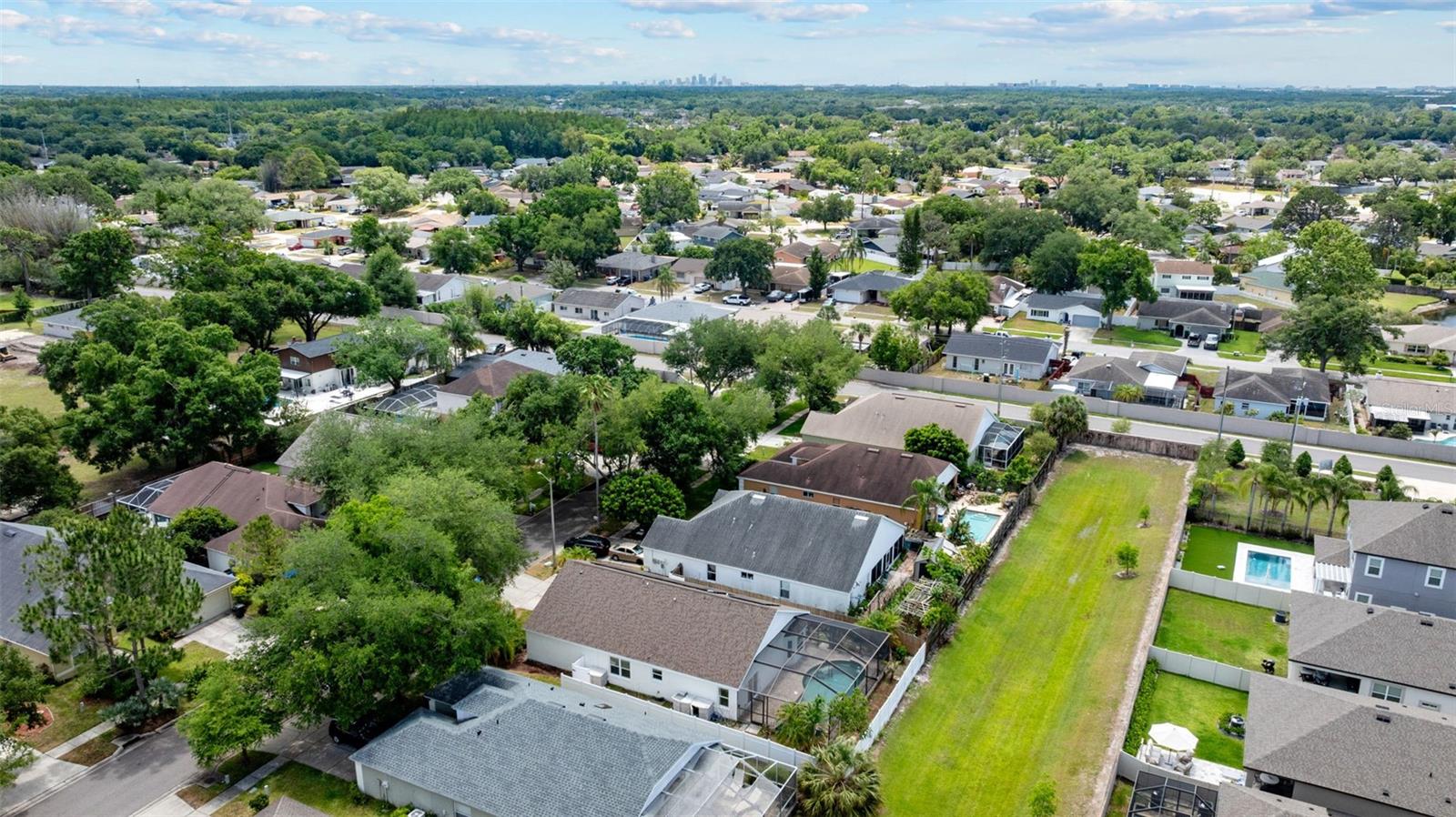 11708 Carrollwood Cove Dr Property Photo 31