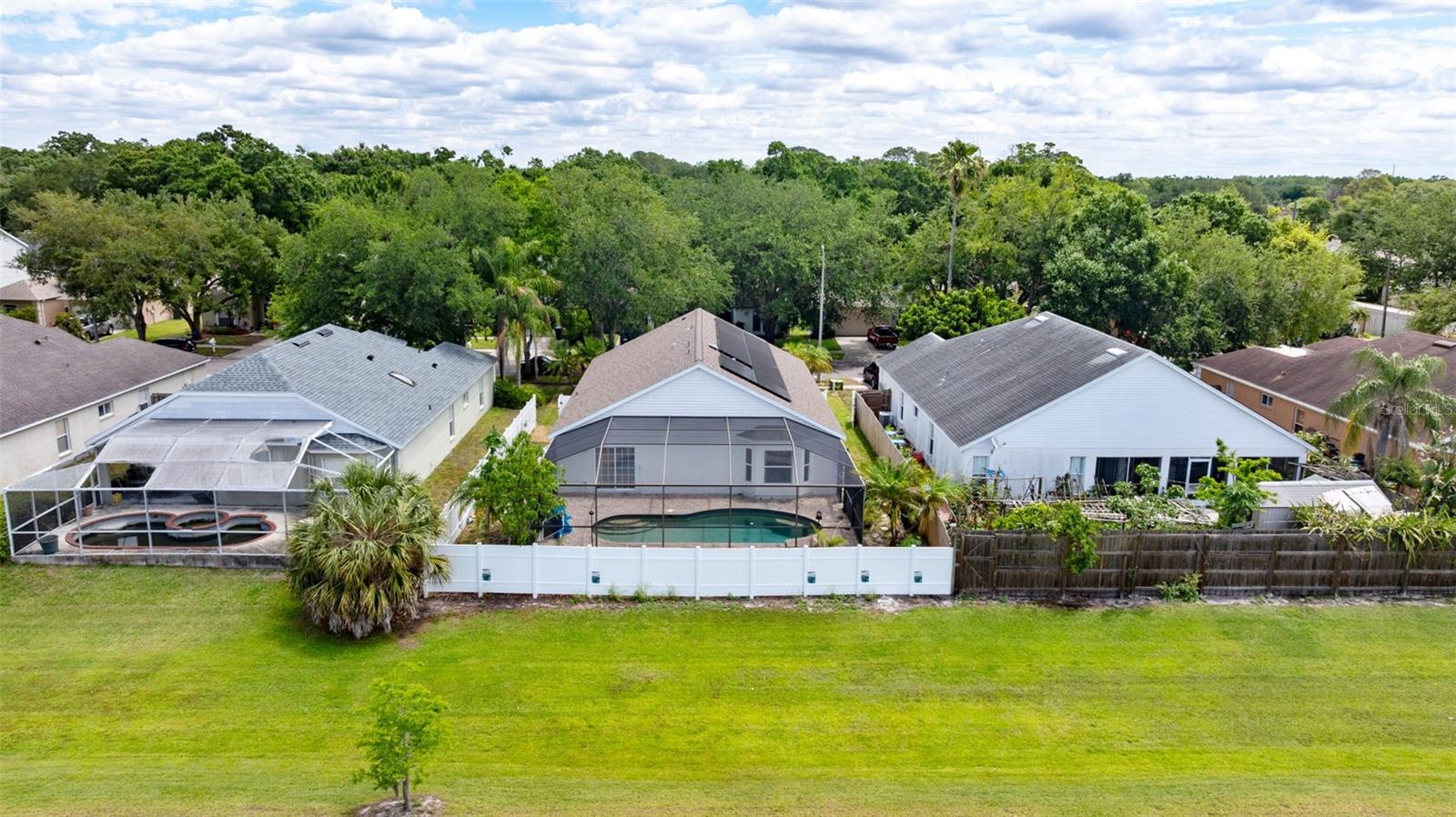 11708 Carrollwood Cove Dr Property Photo 32