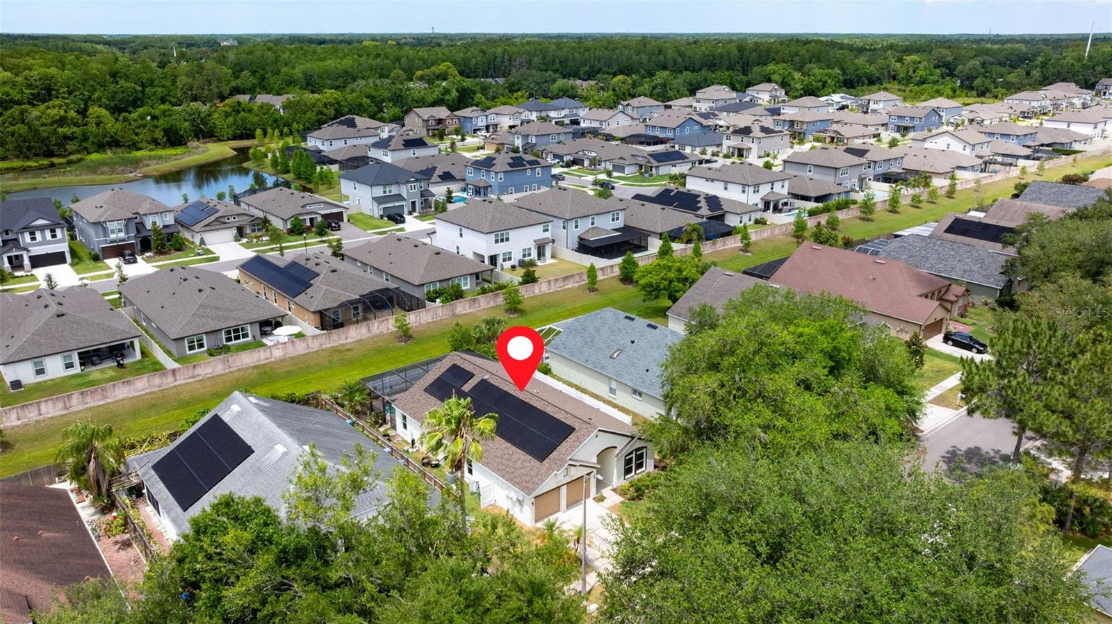 11708 Carrollwood Cove Dr Property Photo 34