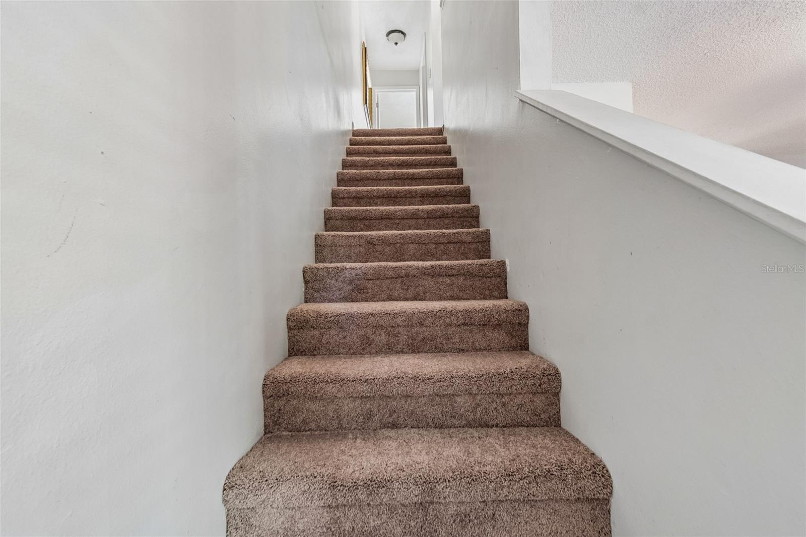 5156 Sunridge Palms Dr Property Photo 24
