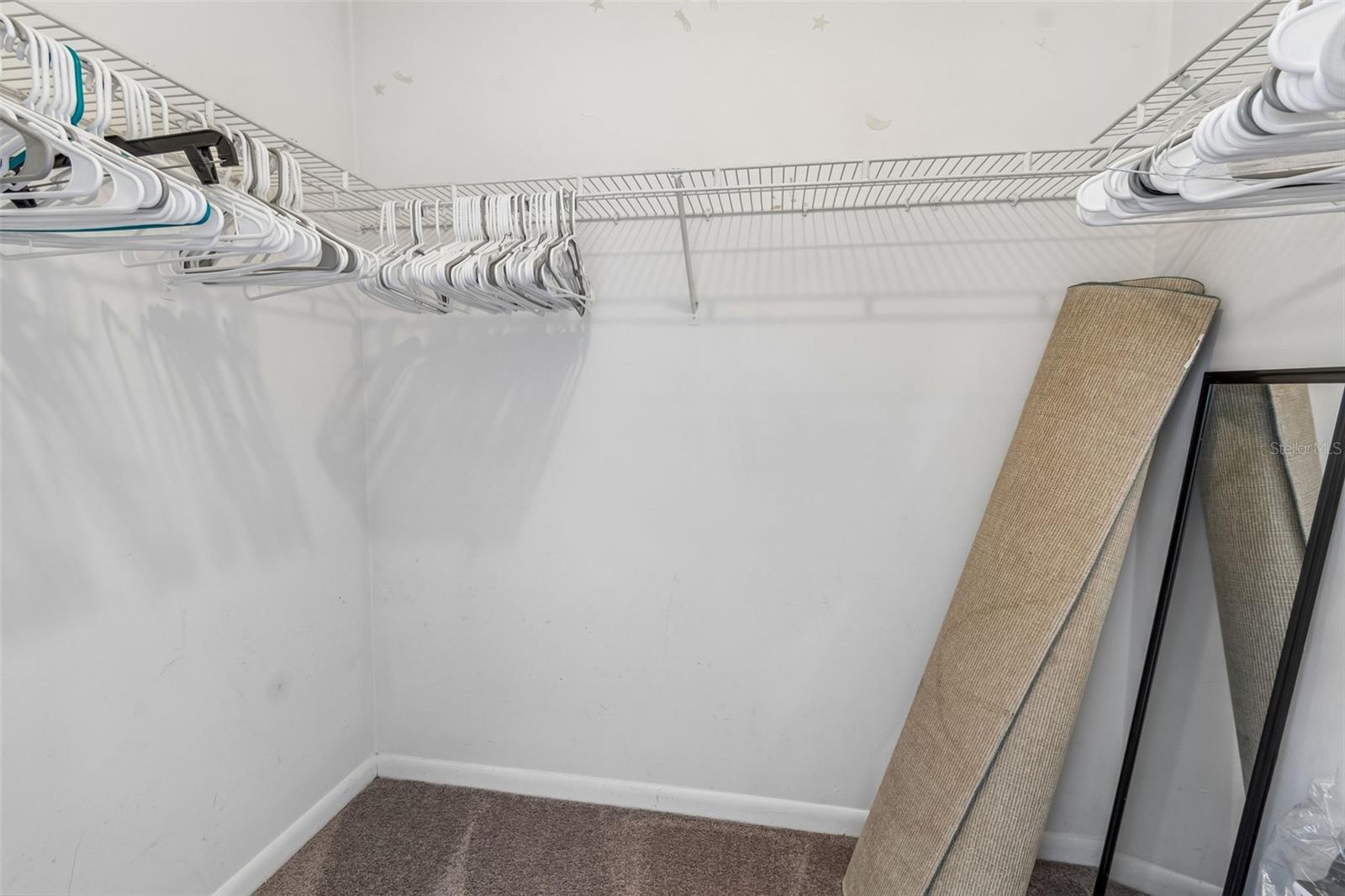 5156 Sunridge Palms Dr Property Photo 36