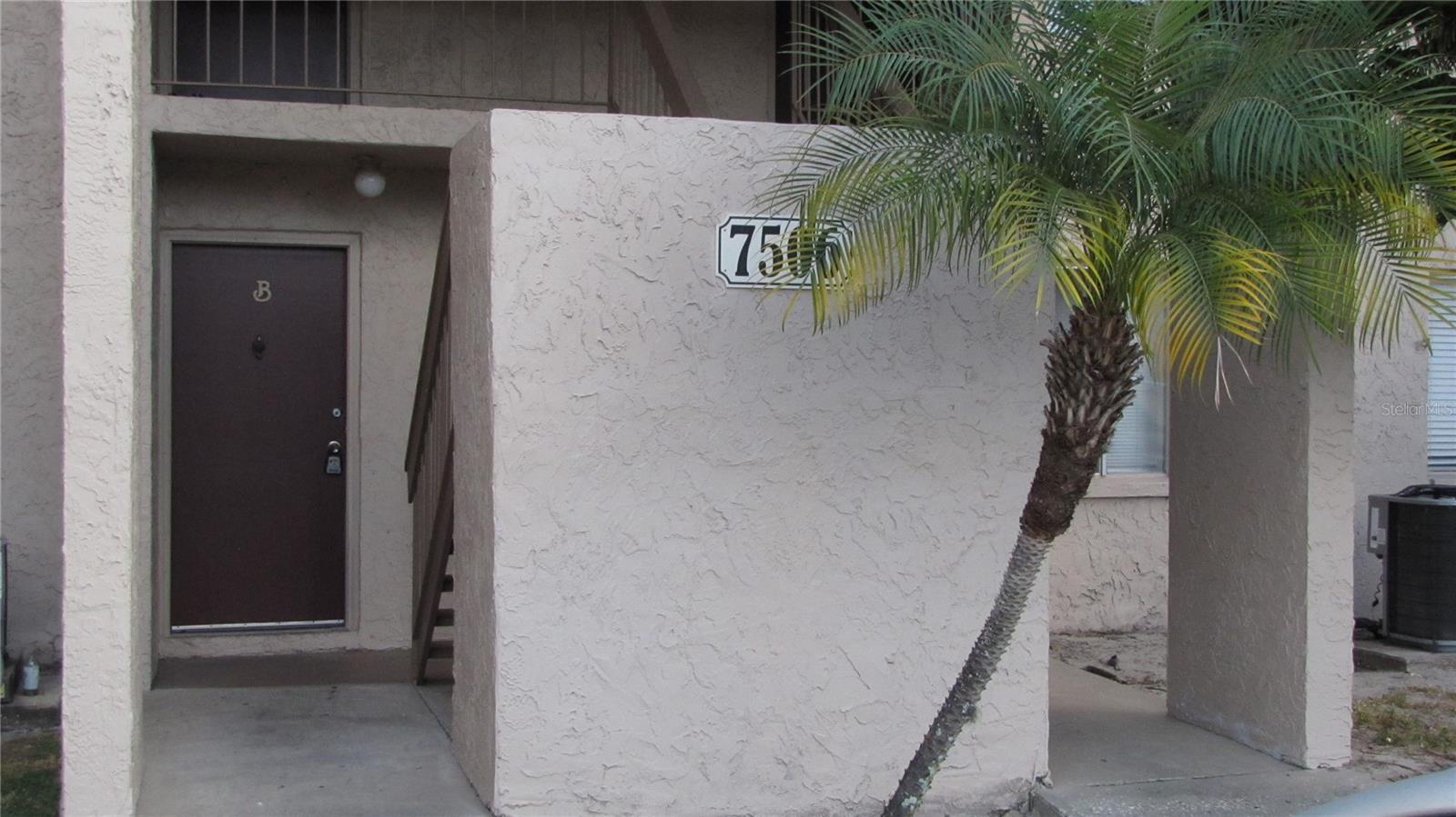 7506 NEEDLE LEAF PL #56 Property Photo 1